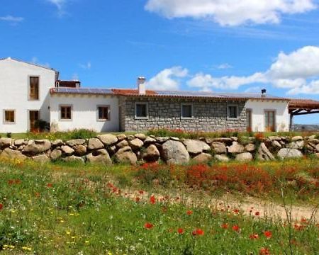 Tenute Testoni Agriturismo E B&B Bassacutena Exterior foto