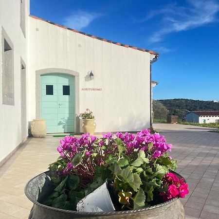 Tenute Testoni Agriturismo E B&B Bassacutena Exterior foto